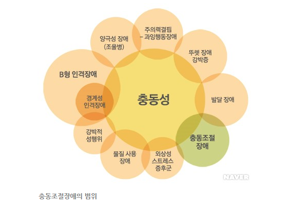  [건강] 충동조절 장애 급증, 원인은 사회의 스트레스?