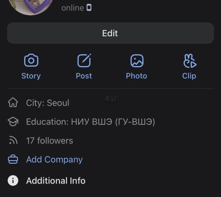  러시아 메신저 종류 :: 러시아 VK, 왓츠앱, 텔레그램