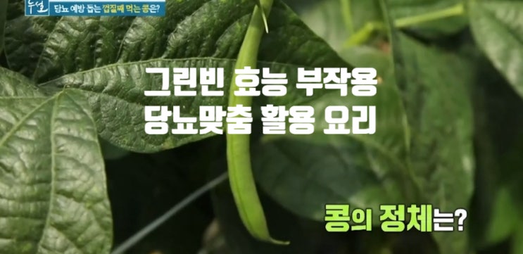 당뇨에 좋은 그린빈 효능 부작용 (ft. 하루 섭취 권장량) 활용 요리 잡채 무침 볶음 만들기