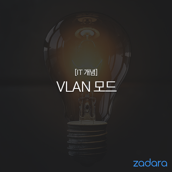  [IT 개념] VLAN 모드