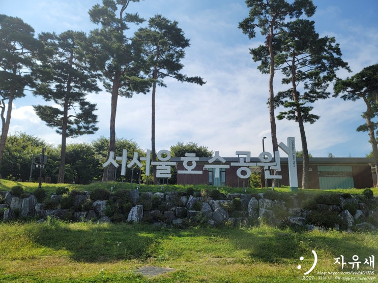  서서울호수공원 주차장 텐트 치고 피크닉 데이트 즐기자
