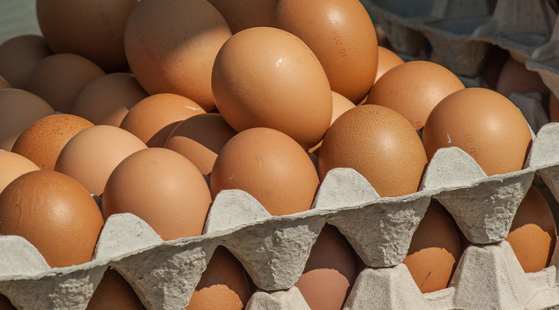 상온 보관하지 마세요! 계란은 냉장보관! : 네이버 블로그