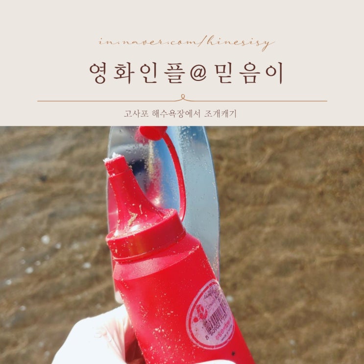  전북 부안 고사포 해수욕장에서 조개캐보기 고사포야영장도 있네