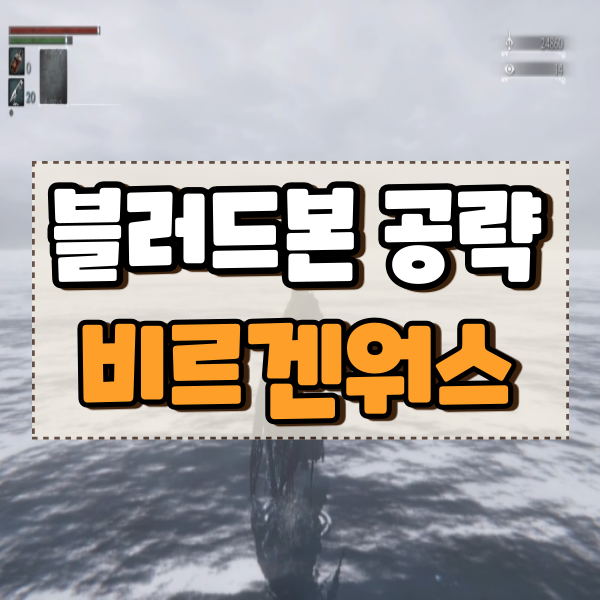 블러드본 시리즈 8편 비르겐워스 롬