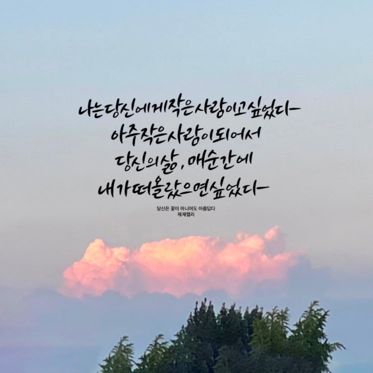  사랑글 / 책 속 짧은 글귀 모음