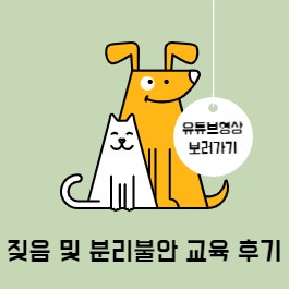 쏠망쏠망과 브리딩의 콜라보! 분리불안, 짖음 화상교육 영상후기 보러 가기