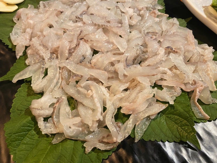  [선릉] 강남 세꼬시 먹을 수 있는 대치동 횟집 참한뽈락
