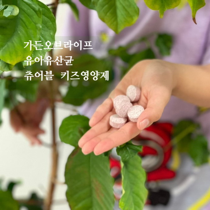  유아유산균 가든오브라이프  유기농 츄어블 아이영양제 추천