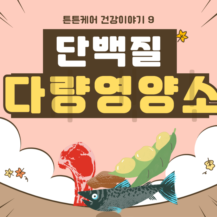  다량영양소, 면역력에도 단백질이 필요해