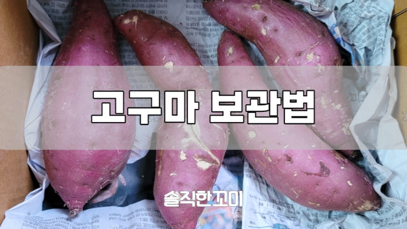 고구마보관방법 상온/냉장/냉동 보관기간 총정리 : 네이버 블로그 고구마보관방법 상온/냉장/냉동 보관기간 총정리 : 네이버 블로그