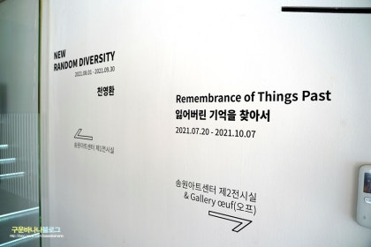 뉴 랜덤 다이버시티(New Random Diversity) 색추출 후기 : 네이버 블로그 뉴 랜덤 다이버시티(New Random Diversity) 색추출 후기 : 네이버 블로그