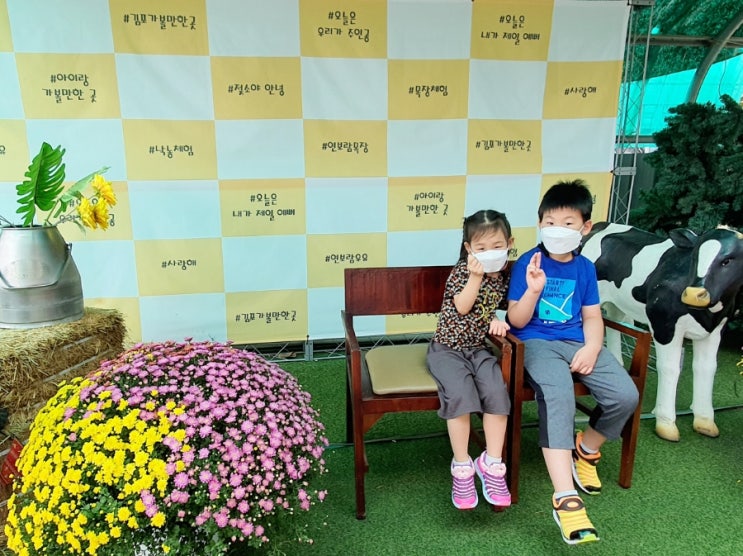  [아이랑갈만한곳] 김포 연보람목장 -낙농체험, 치즈만들기, 피자만들기, 젖소짜기체험, 트랙터타기 체험 -목장체험 추천