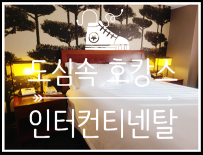  서울 강남 도심 속 호캉스 내돈내산 솔직후기
