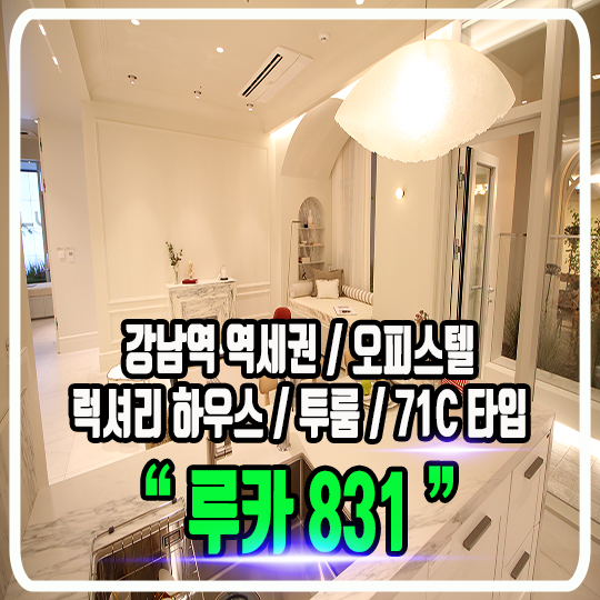  루카831 오피스텔 (강남역 힐스테이트) - 투룸 & 원룸원거실 타입별 소개