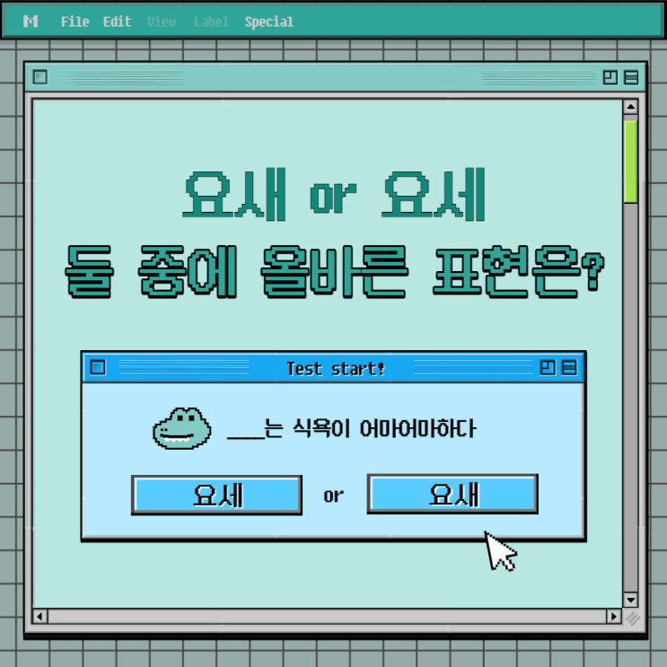  요세 요새 등 쉽게 구별하는 법