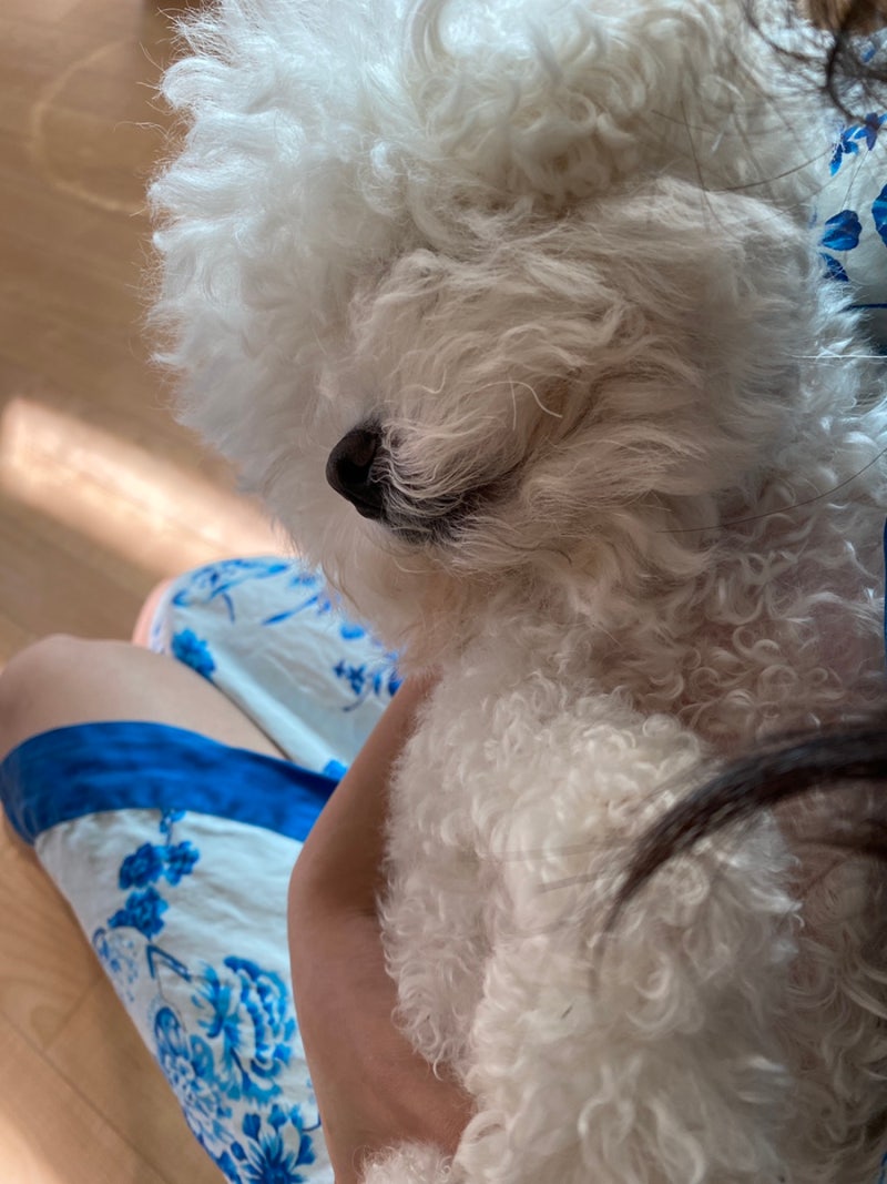 귀똥 (@cute_ddong) • Instagram photos and videos, image size:800x1067