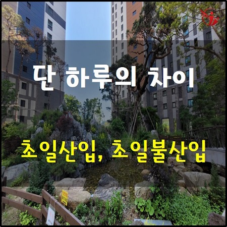  단 하루 차이가 만들어낸 결과 초일산입 초일불산입