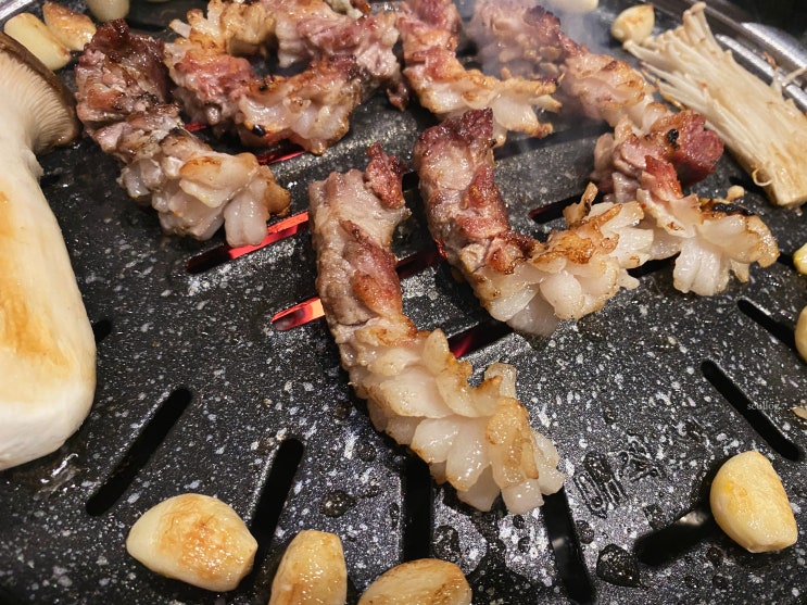  [제주/노형동] 공항주변 백돼지 삼겹살 맛집 선영이네 고기집