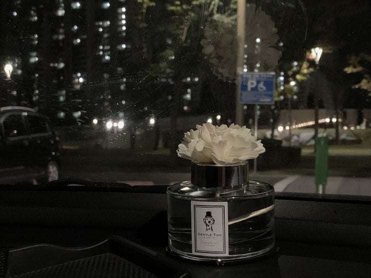 차 안에서 비누향을 느끼고 싶다면, 젠틀티안 차량용방향제 시그니처 G 차 안에서 비누향을 느끼고 싶다면, 젠틀티안 차량용방향제 시그니처 G