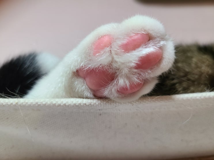  마리끌레르 9월 마지막 주 별자리 운세