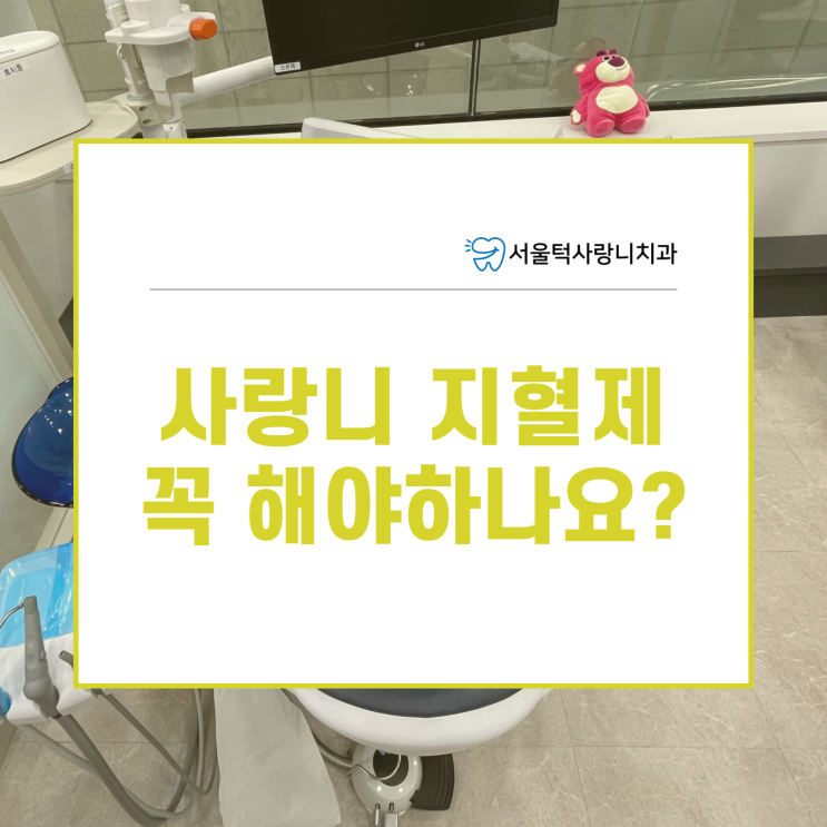 정자역사랑니 지혈제 꼭 해야하나요?