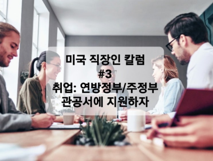  미국직장인 칼럼 #3 (취업: 연방정부/주정부 및 관공서를 지원하라)
