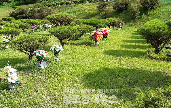 자연장은 왜 미래형 葬法인가…새삼 주목받는 이유 자연장은 왜 미래형 葬法인가…새삼 주목받는 이유