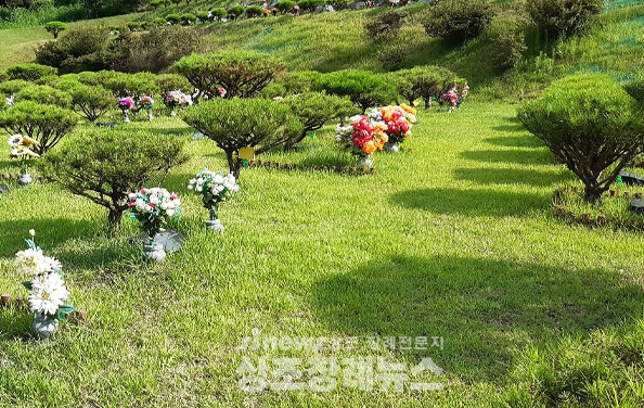 자연장은 왜 미래형 葬法인가…새삼 주목받는 이유