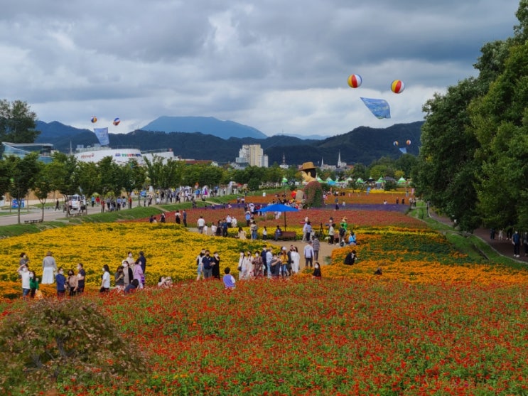 [경남-함양] 꽃밭이 더 기억에 남는 - 함양산삼항노화엑스포(함양 상림공원)