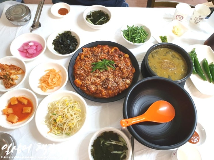  세종 조치원 <설악명품추어탕>에서 쭈꾸미비빔밥과 추어탕 뚝딱!