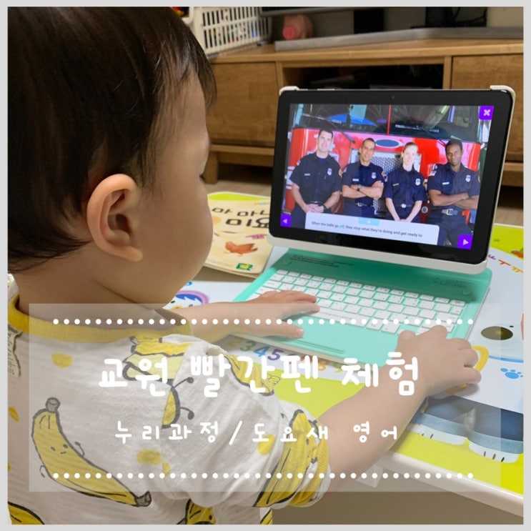 25개월 3살아이 교원 빨간펜 체험 후기 (누리과정, 도요새 영어)