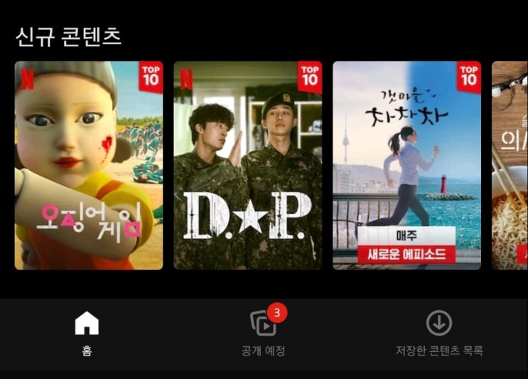  넷플릭스 감상하기