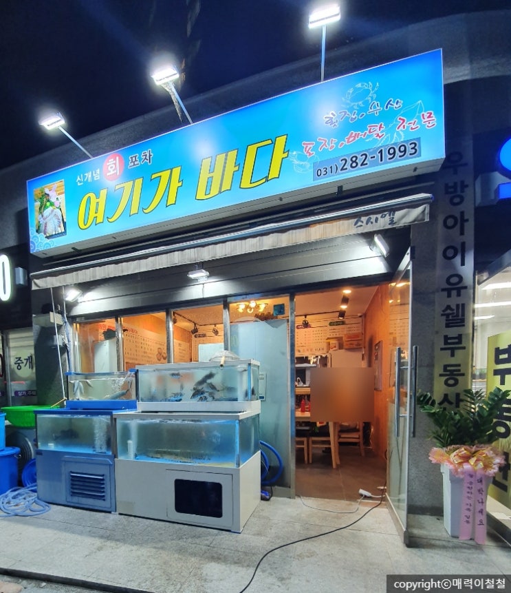  용인 신갈동 신개념회포차, 여기가바다