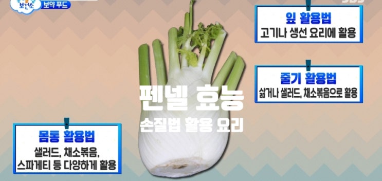  혈관 고혈압에 좋은 펜넬 효능 (ft. 손질법 활용법) 주스 피클 연어 스테이크 요리 만드는 방법