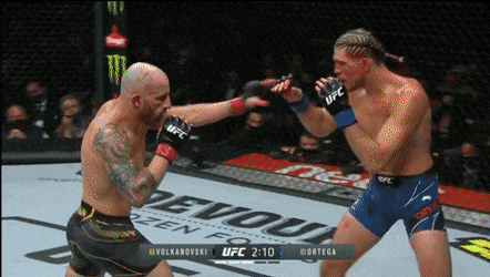 UFC 266: 볼카노프스키 vs 오르테가 리뷰(GIF) - 가장 완벽한 파이터