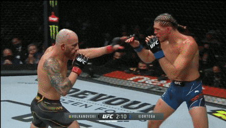 UFC 266: 볼카노프스키 vs 오르테가 리뷰(GIF) - 가장 완벽한 파이터 UFC 266: 볼카노프스키 vs 오르테가 리뷰(GIF) - 가장 완벽한 파이터