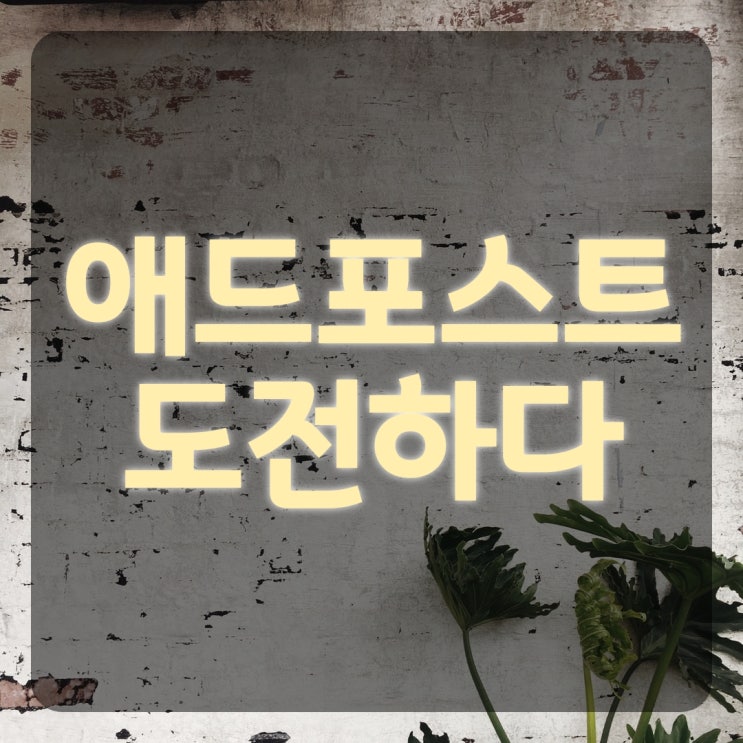  애드포스트 도전 아직은 보류중
