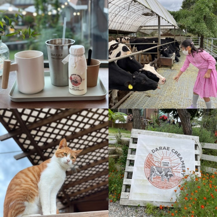  다래목장 / 청주 아이와 가면 좋은 체험 카페 / 수제 요거트 카페