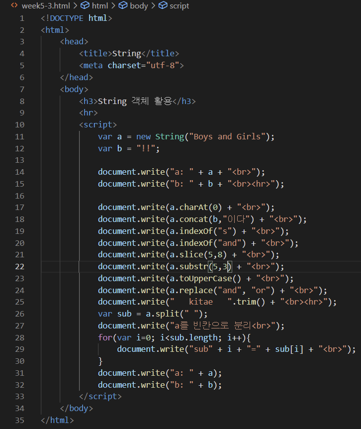  [javascript] String 객체