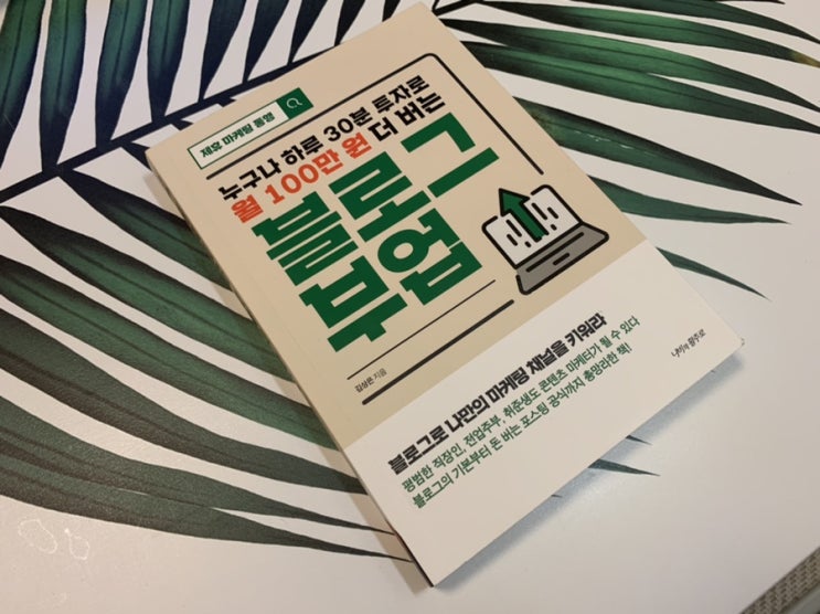  (서평) 블로그를 시작하는, 그리고 운영중인 당신에게 추천하는 [누구나 하루 30분 투자로 월 100만원 더 만드는 블로그 부업]