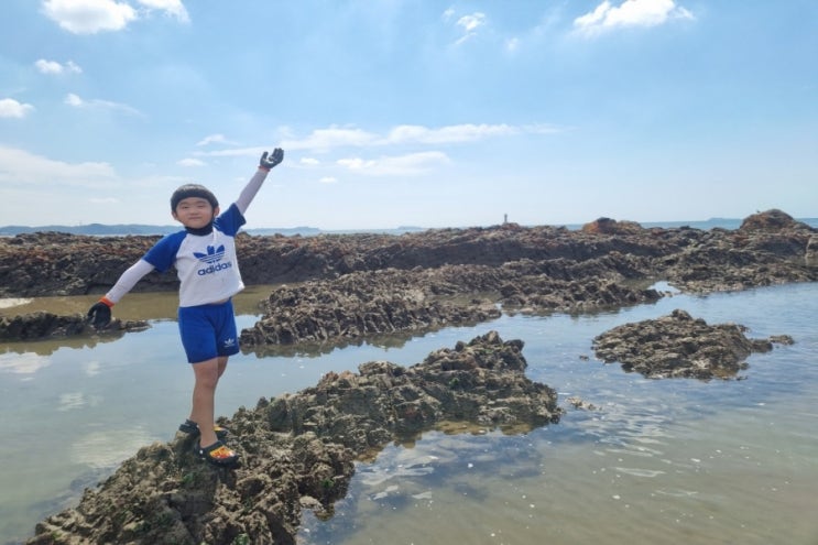  안면도 삼봉해수욕장 명주조개가 막나오네요