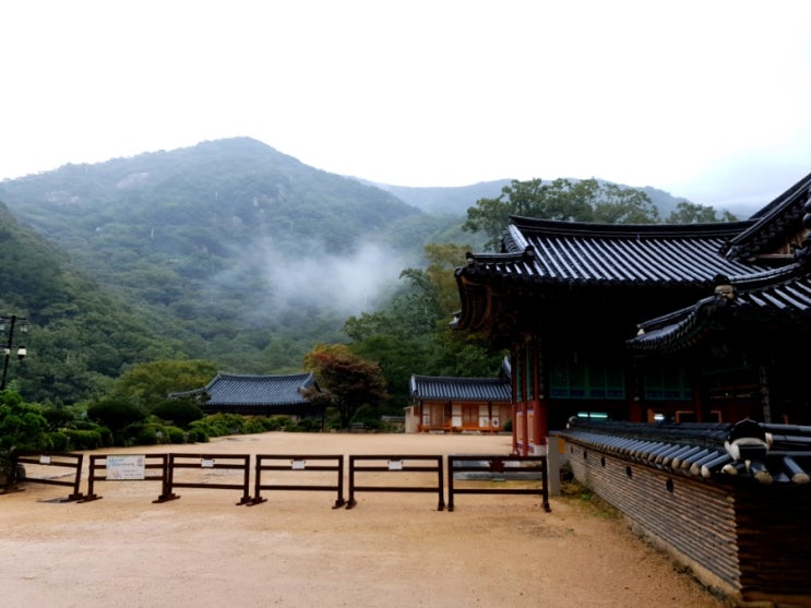  양산 내원사 | 부산 근교 가볼만한곳 | 부산 경치 좋은 곳