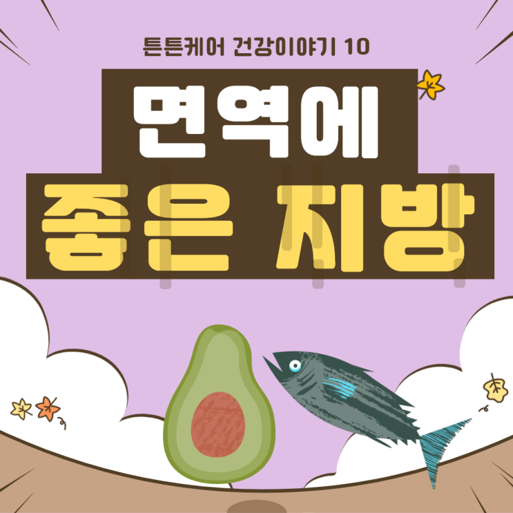  좋은 지방? 나쁜 지방? 면역에 좋은 지방 알아보기