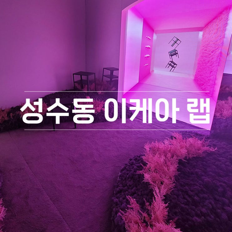 성수동 이케아 랩 나들이~