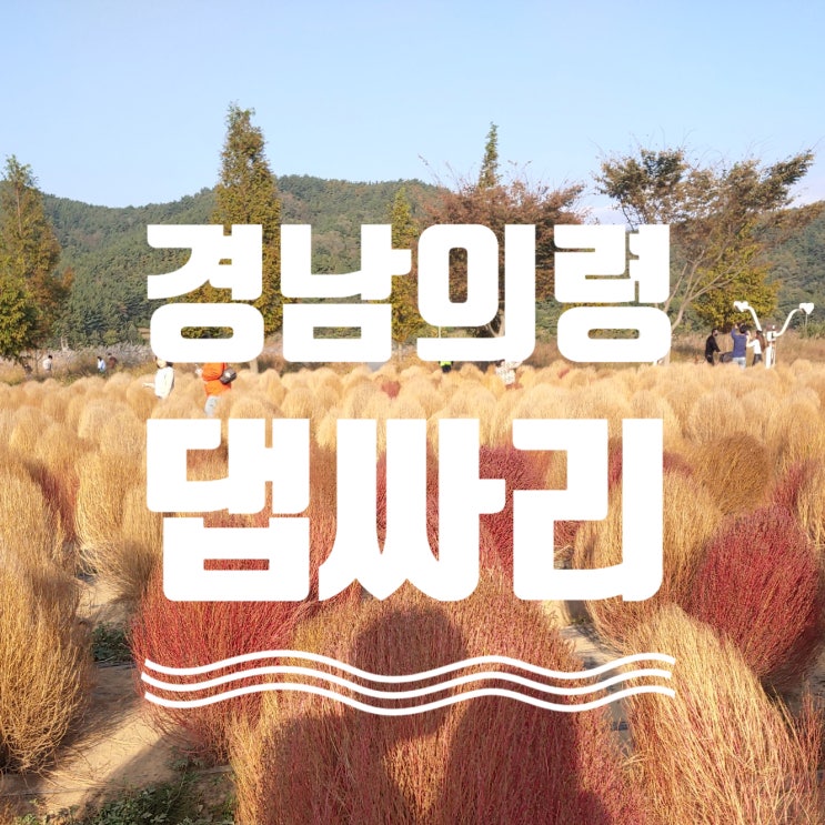  [경남의령] 가을엔 알록달록 댑싸리! 의령호국의병의숲친수공원 가는 법