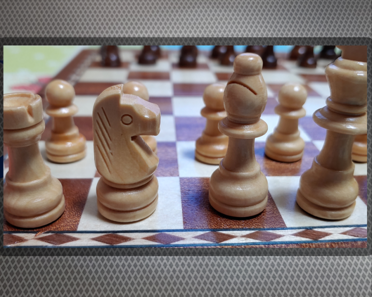 바니랜드 원목체스로 체스규칙도 배우고 체스킹 되어보자