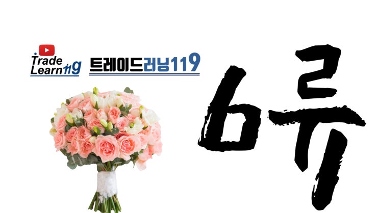  제6류 [2022 관세율표 HS 오디오 법령집]