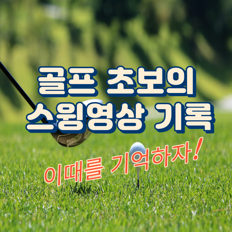  3개월차 골린이 풀스윙 영상 (드라이버/아이언)
