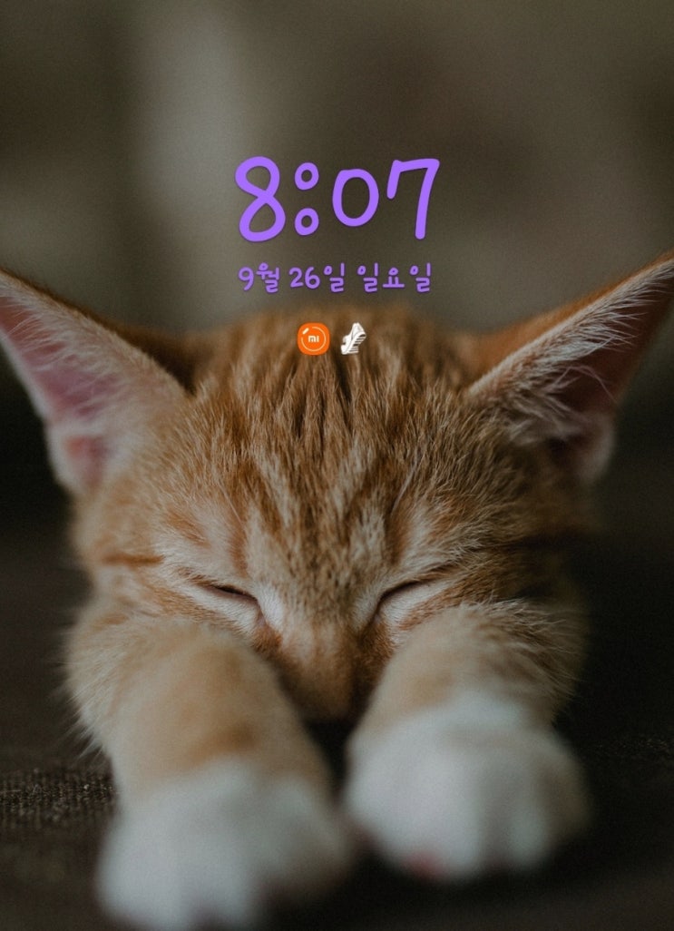  [미라클모닝 D-60]휴일이니까  하루 휴가 