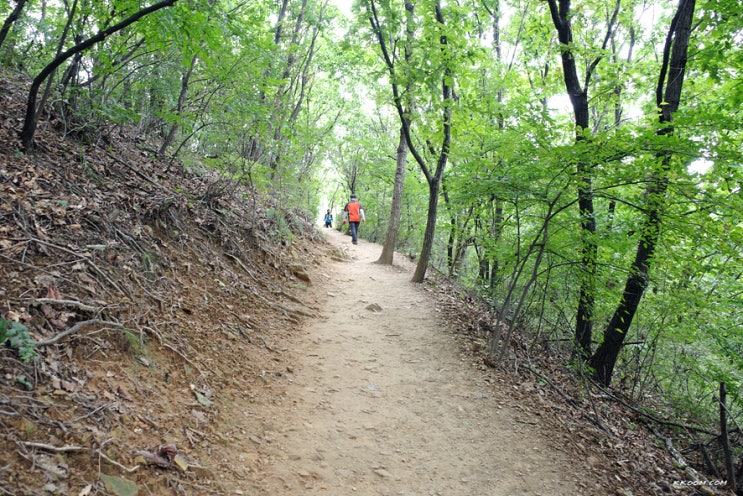 소래산 등산 (시흥대야역~소래산~성주산~소새울역 코스)